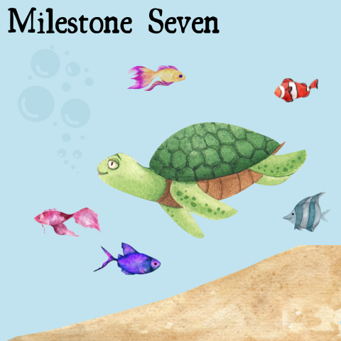 Milestone Seven Entry